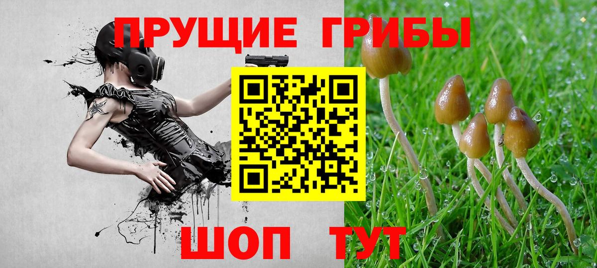 Галлюциногенные грибы ЛСД Калуга